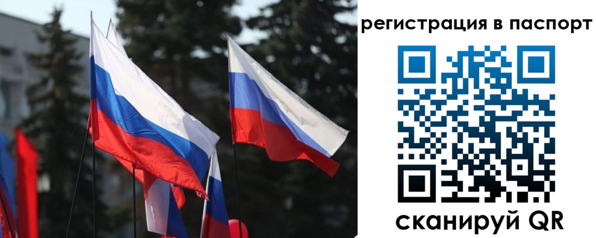 прописка штамп в Камышлове